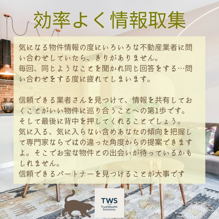 画像295