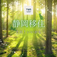 画像306