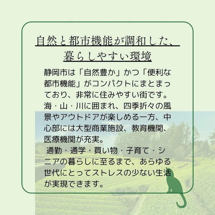 画像307